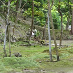 Saimyoji Temple Grounds