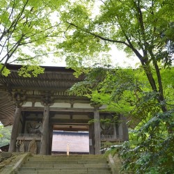 Saimyoji Gate