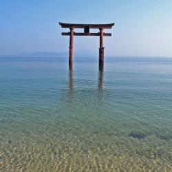 Shirahige Shrine Gate in Lake Biwa
